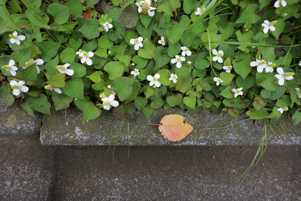 そこにある