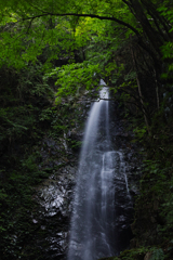 だいたい40mmあたりでレンズ対決　24-70Art