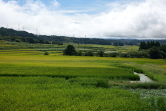 品のある田園