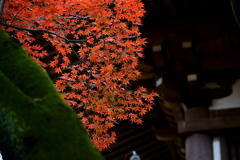 隙間_α７Ｒ（D)