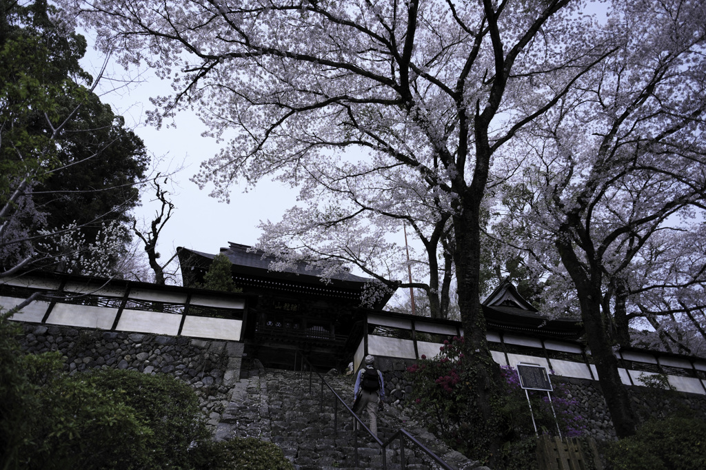美し山門