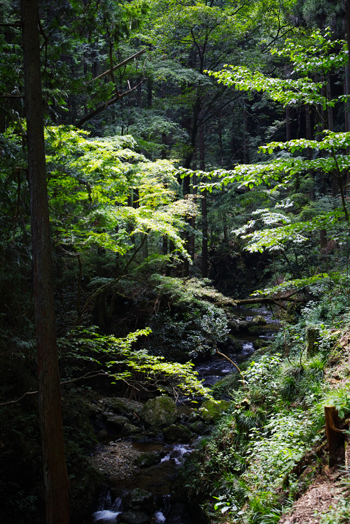 都の村