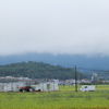 帰り脚