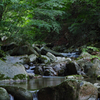 竜門峡の川流れ