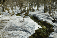 融雪水 融雪水