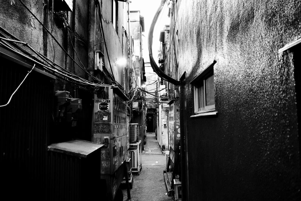 真路地