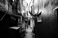 真路地