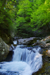 初夏の流れ 初夏の流れ