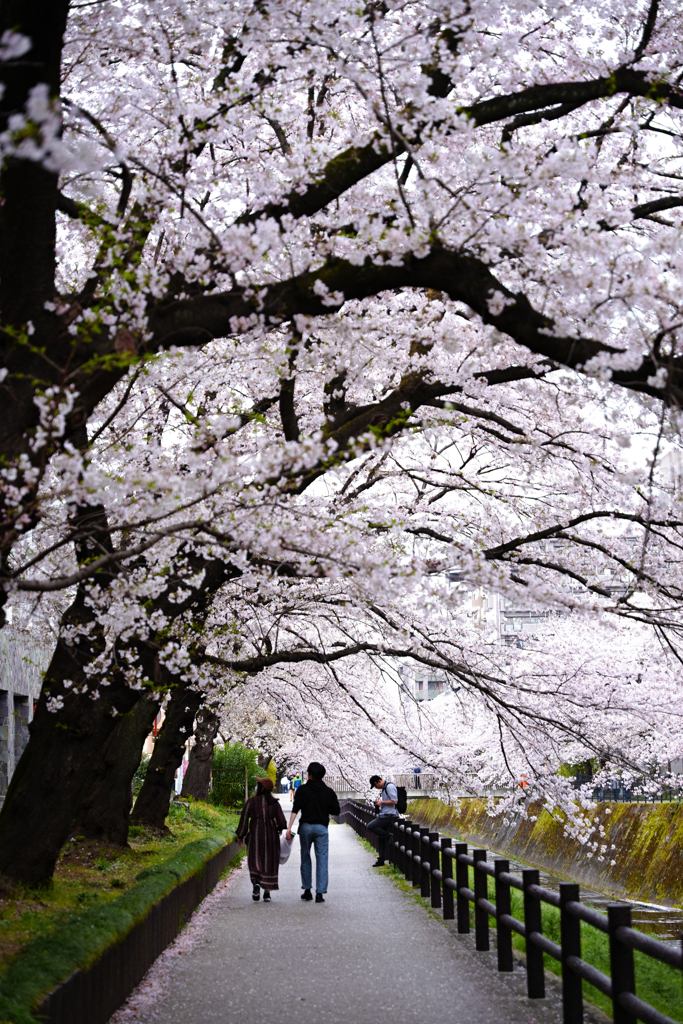乞田川2020