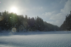 お天気雪