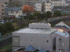 サギのアジト発見！