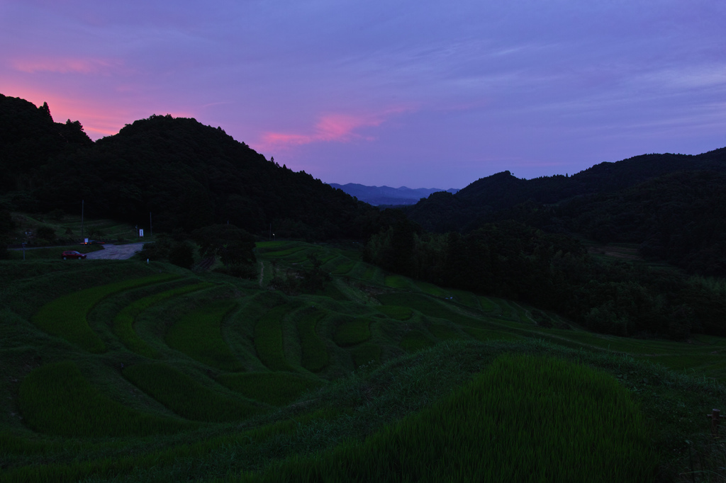 棚田の夕暮れ