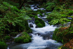 滾々湧水
