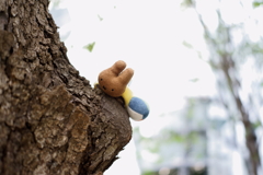 木登りする誰かの忘れ物（SONY)