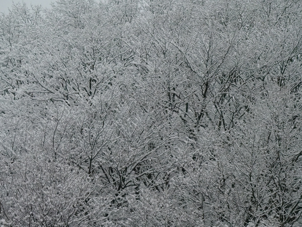 東京だから価値がある