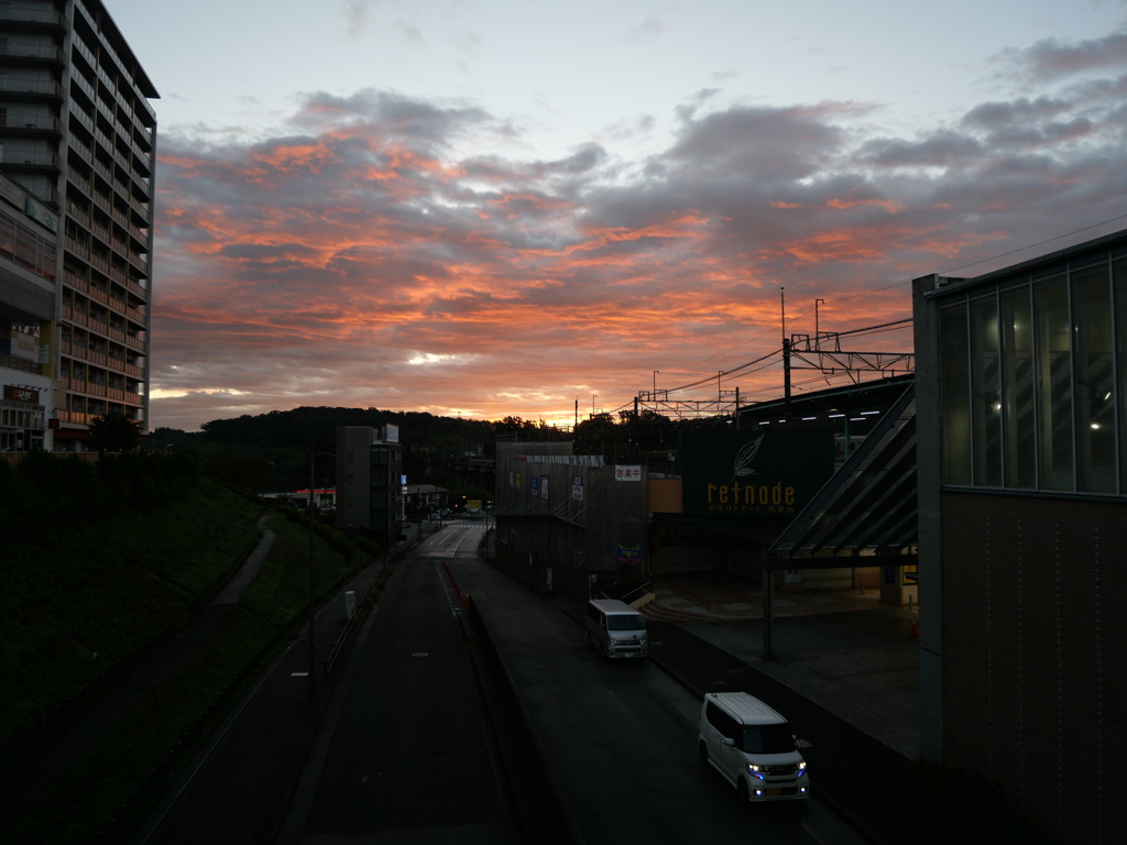 朝が綺麗な月曜