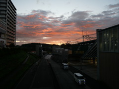 朝が綺麗な月曜