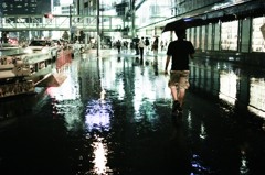 雨の艶