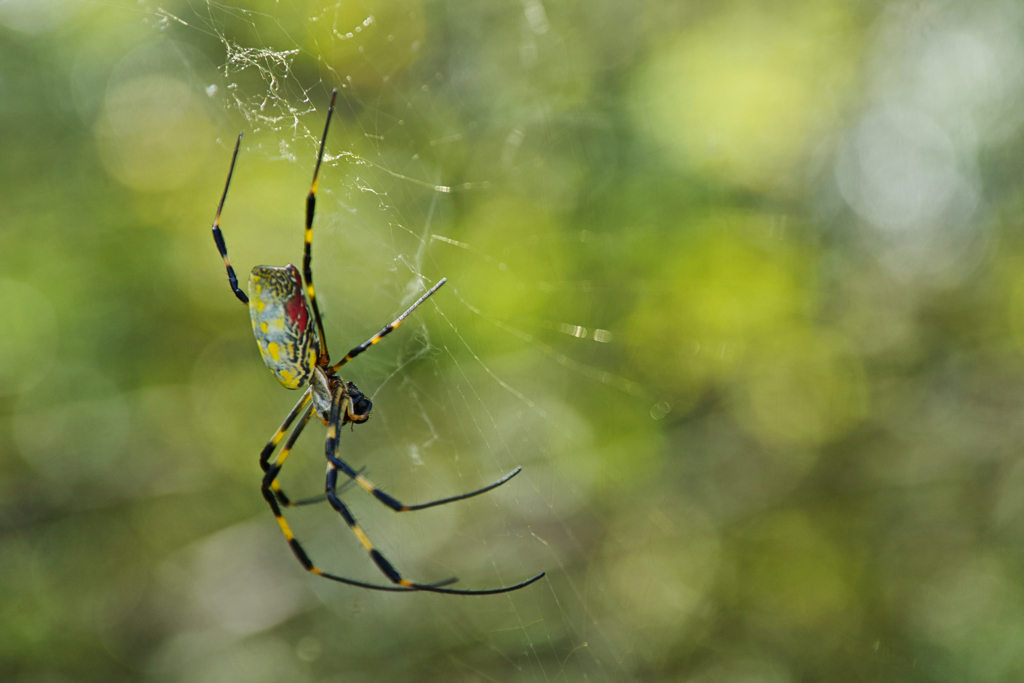 Industrial products（閲覧ご注意下さい）