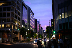 開放された街が紫だつ
