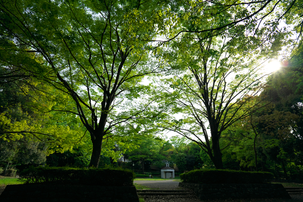 ブランコからの景色