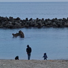 海の父子