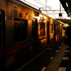 朝のギラリ