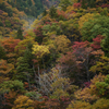 大峠の紅葉