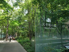 密林