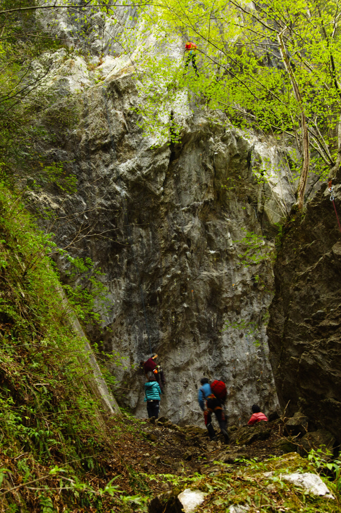 ロックな人々と新緑