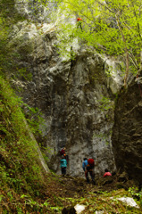 ロックな人々と新緑