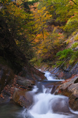 西沢渓谷ＳＦＤ