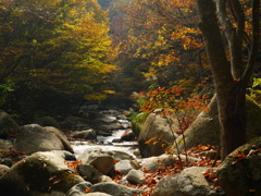 秋の日川