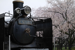桜とSL