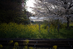 さとみで待つ