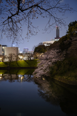 今年は暗く