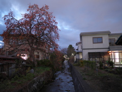 実り