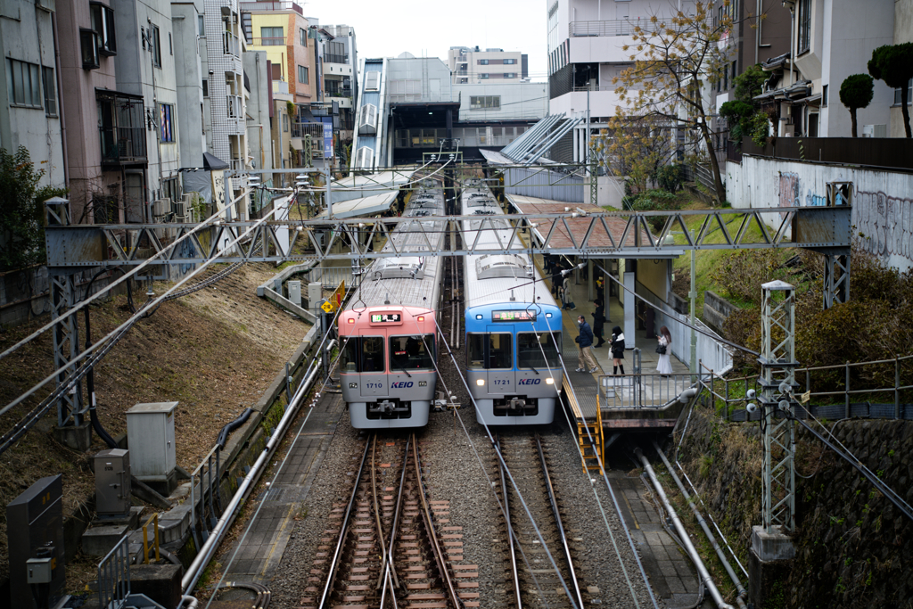 仲良きことは美しき哉(DxO）