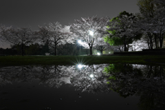 雨の恵（フィルタなし）