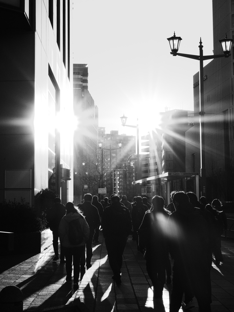 群生（ぐんじょう）