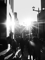 群生（ぐんじょう）