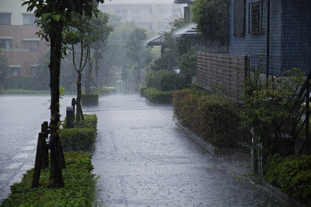 散歩の途中でゲリラ豪雨