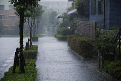散歩の途中でゲリラ豪雨