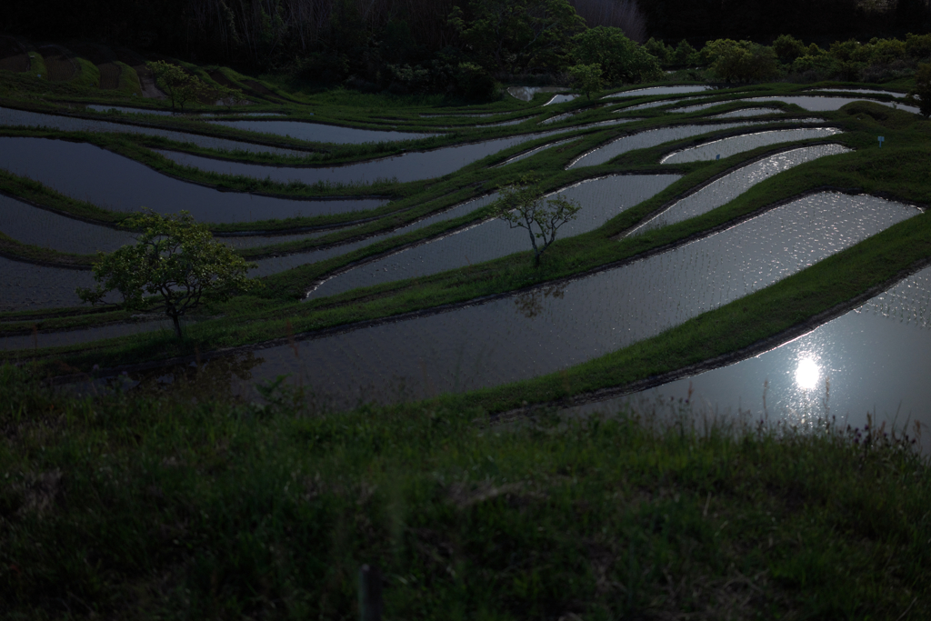 田の夜