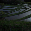 田の夜