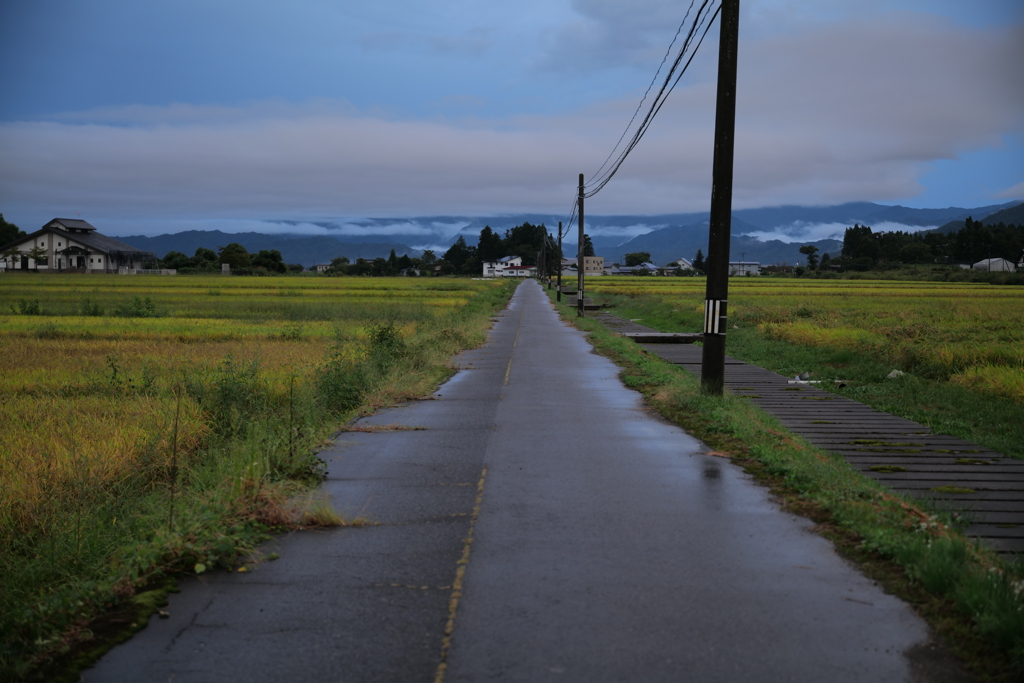 田舎満喫