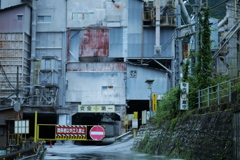 今日のターゲット