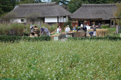 収穫祭