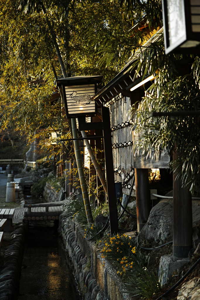 今日のお見送り（深大寺）