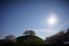 実験画像1　TokinaFiRIN20mmF2-F2.8